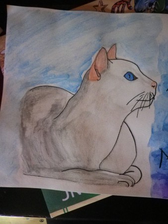 Un chat que j'ai fait pour l'anniversaire de ma maman