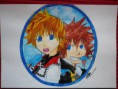 /album/galerie-photos/kingdom-hearts-roxas-sora-jpg/